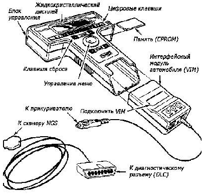   New Generation Star (NGS) (   