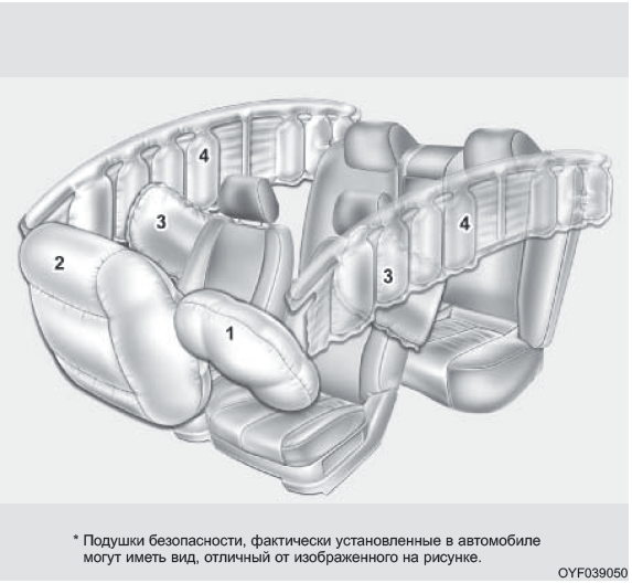 (1) Подушка безопасности водителя